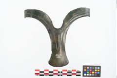 Foto von Bronzeflügelortband (NHMW-PRAE-024622)